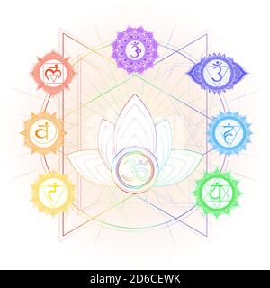 Vektor-Illustration von sieben Chakra-Symbole, om-Zeichen, heiligen Lotus und geometrische Muster. Farbbild auf weißem Hintergrund. Stock Vektor