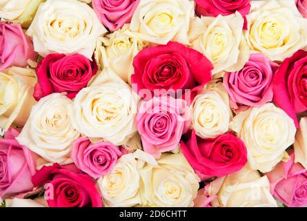 Detailreiches Foto von einem Hochzeitsstrauß aus natürlichen bunten Farben rosen Stockfoto