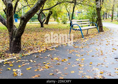 Leere Holzbank auf Rasen mit heruntergefallenen Blättern bedeckt Öffentlicher Stadtgarten am regnerischen Herbsttag Stockfoto