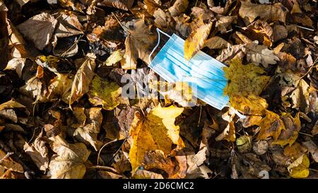 Panoramablick auf geworfen Sanitär Gesichtsmaske in Blatt Streu Am sonnigen Herbsttag Stockfoto