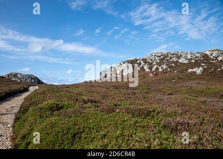 Holyhead Mountain, Holyhead Island, Anglesey, Wales, Großbritannien Stockfoto