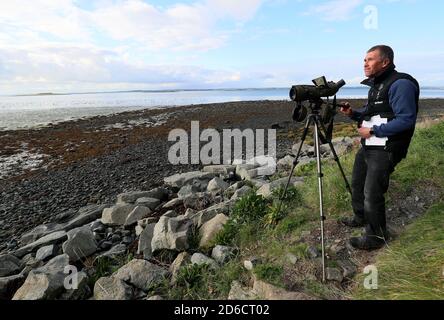 Andrew Upton, Countryside Manager des National Trust für East Down, am Ufer des Strangford Lough in Newtownards, Nordirland, während der National Trust seine jährliche Zählung der kanadischen Brent-Gänse übernimmt. Zwischen 20,000 und 30,000 Gänse kommen jedes Jahr auf dem lough an, nachdem sie aus Kanada gereist sind. Stockfoto