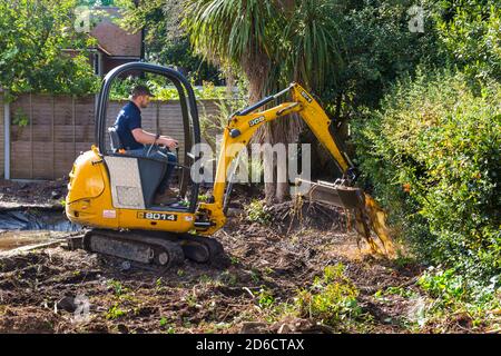 Gartenabräumarbeiten und Renovierungen, die im Oktober im Garten in Bournemouth, Dorset UK, stattfinden - Rodung des Gartenteiches mit jcb-Minibagger Stockfoto