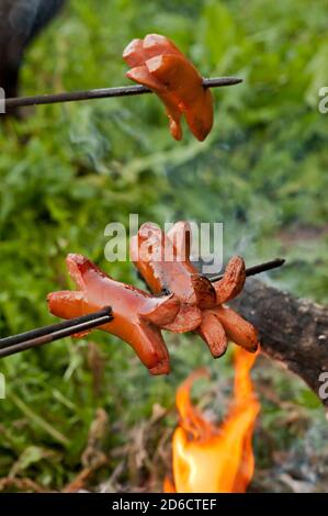 Traditioneller tschechischer Grill - Würste auf einem Stock gebraten Das Lagerfeuer Stockfoto