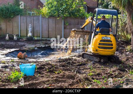 Gartenabräumarbeiten und Renovierungen, die im Oktober im Garten in Bournemouth, Dorset UK, stattfinden - Rodung des Gartenteiches mit jcb-Minibagger Stockfoto