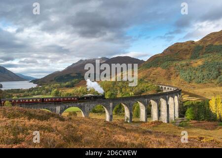 FORT WILLIAM SCHOTTLAND DER JACOBITE DAMPFZUG, DER IN DEN GLENFINNAN EINFÄHRT VIADUKT MIT HERBSTFARBEN IN DER LANDSCHAFT Stockfoto