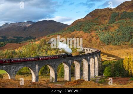 FORT WILLIAM WESTKÜSTE VON SCHOTTLAND DIE JACOBITE DAMPFZUG ÜBERQUERUNG DES GLENFINNAN VIADUKTS MIT HERBSTFARBEN IN DER LANDSCHAFT Stockfoto