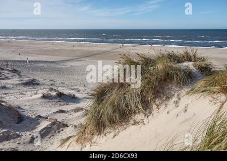 Küstendüne zwischen Skagen und Hals in Nordjütland In Dänemark Stockfoto