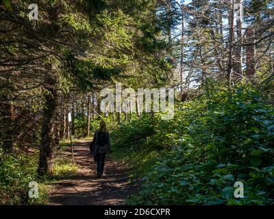 Wandern auf einem Wanderweg im wunderschönen Forillon Natinal Park, Gaspesie, Quebec, Kanada. Stockfoto