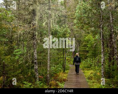 Ein Mädchen läuft an einem regnerischen Tag auf den Spuren des Gaspesie-Nationalparks in Quebec, Kanada. Wandern durch Nebel und Regenwolken, Stockfoto