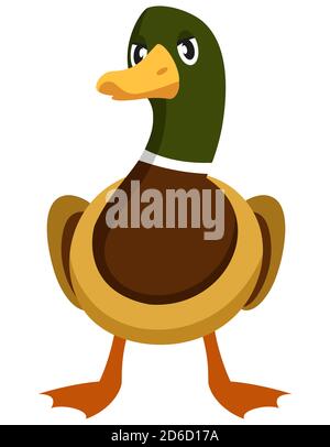 Drake Vorderansicht. Bauernhof Tier im Cartoon-Stil. Stock Vektor