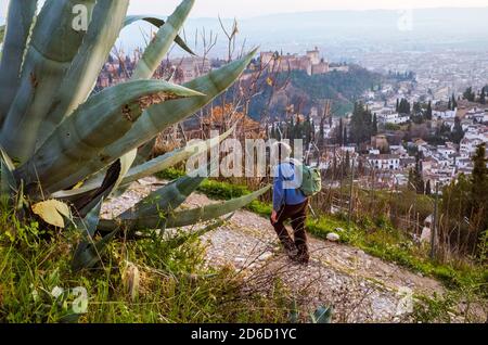 Granada, Spanien - 17. Januar 2020 : EIN touristischer Spaziergang am Aussichtspunkt San Miguel Alto mit der Alhambra und dem Albaicin-Viertel im Hintergrund. Stockfoto