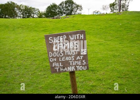 Melden Sie sich in einem Feld in der Nähe von Silverdale, Lancashire, UK. Schafe mit Lämmern Hunde müssen auf der Leitung zu allen Zeiten Danke. Stockfoto