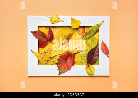 Kreatives Layout aus bunten Herbstblättern und leerem Fotorahmen. Flach liegend. Naturkonzept. Stockfoto