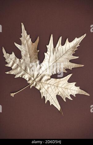 Minimale Herbstzusammensetzung. Goldfarbenes Ahornblatt auf dunkelbraunem Hintergrund. Flach liegend, Draufsicht, Kopierbereich. Stockfoto