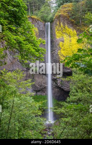 Latourell Falls entlang Wanderweg in der Columbia River Gegend östlich von Portland, Oregon Stockfoto