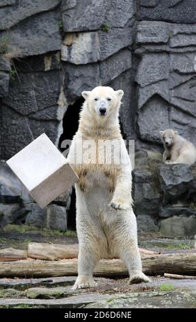 29.03.2019, Berlin, , Deutschland - Eisenträger Tonja spielt mit einer Wildtierkiste vor ihrer Tochter Hertha. 00S190329D646CAROEX.JPG [MODELLVERSION Stockfoto