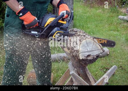 06.06.2020, Neuenhagen, Brandenburg, Deutschland - Baumstamm wird mit einer Kreissäge aufgesägt. 00S200606D503CAROEX.JPG [MODEL RELEASE: JA, PROPERTY RELEAS Stockfoto