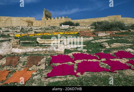 24.12.2010, Fes, Fes-Meknes, Marokko - gegerbte und gefärbte Tierhäute werden auf einer Wiese im Freien getrocknet, bevor sie zu fertigen l verarbeitet werden Stockfoto