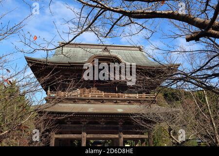 Kamakura Wahrzeichen, Japan - Kencho-ji Zen Buddhistischer Tempel. Japanische Holzarchitektur. Stockfoto