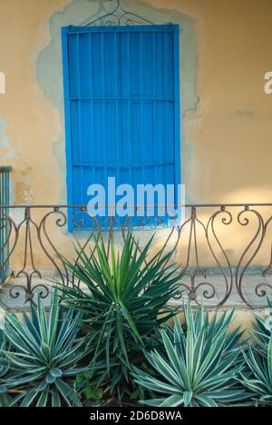 Ein typisches Haus mit blau bemalten Fensterläden in einer Stadt In Kuba mit Kaktus Stockfoto
