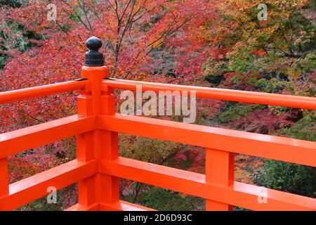 Herbst in Japan - bunte Blätter von Kitano Tenmangu Gärten in Kyoto. Stockfoto