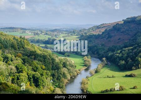 Der Fluss Wye schlängelt sich wie gesehen durch das Wye Valley Von Symonds Yat Rock Stockfoto