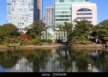 TOKIO, JAPAN - 2. DEZEMBER 2016: Besucher besuchen den Kyu Shiba Rikyu Garten in Tokio, Japan. Tokio ist die Hauptstadt Japans. 37.8 Millionen Menschen leben in Stockfoto