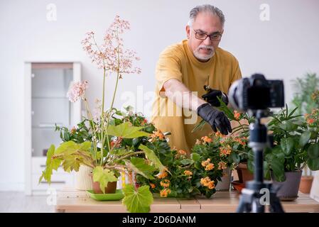 Alter männlicher Gärtner mit Pflanzen zu Hause Stockfoto