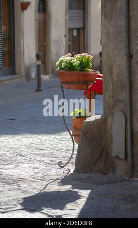 Vase mit Blumen in einer engen Straße des historischen Zentrum von Arezzo Stockfoto