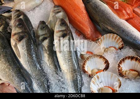 Meeresfrüchte auf dem London Borough Market, Großbritannien. Seebarsch und St. Jacob Muscheln. Stockfoto