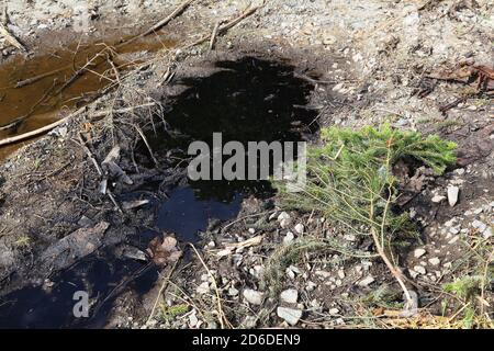 Motoröl verschütten im Wald - Bodenverschmutzung. Öl auf dem Boden. Stockfoto