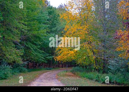 Wolkiger Tag im Audubon Plainsboro Naturschutzgebiet Wanderwege mit Herbstfärbung nähert sich ihrem Ende für die Saison -09 Stockfoto