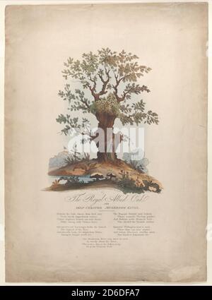 The Royal Allied Oak and Self-Created Mushroom Kings, 29. Mai 1815. Stockfoto