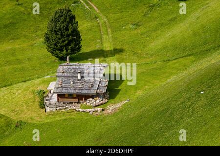 Luftbild auf landwirtschaftlicher Landschaft mit einer Holzhütte, einem Baum und grünen Weiden. Stockfoto