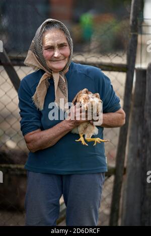 Alte Bäuerin, die ihr Hühnchen-Haustier im Freien hält Stockfoto