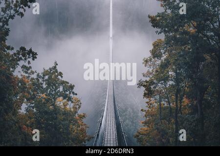 Die Hängeseilbrücke Geierlay am Morgen mit Nebel im Hunsrück. Eine Person befindet sich am Ende der Brücke Stockfoto