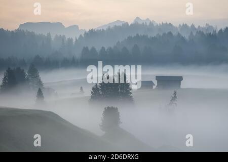 Sonnenaufgang über der Seiser Alm in den Dolomiten, Südtirol, Italien. Nebel verdunkelt die einzelnen Waldteile und Almhütten Stockfoto