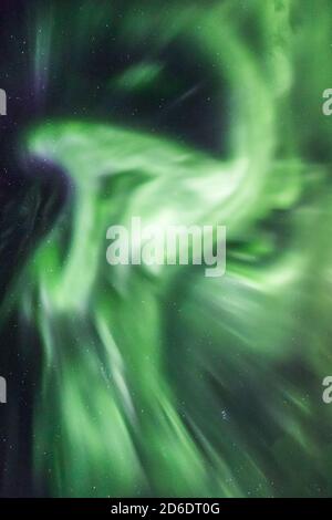 Nordlichter / aurora borealis über Bergsbotn, einem Fjord auf der Insel Senja in Norwegen / Zenit Stockfoto