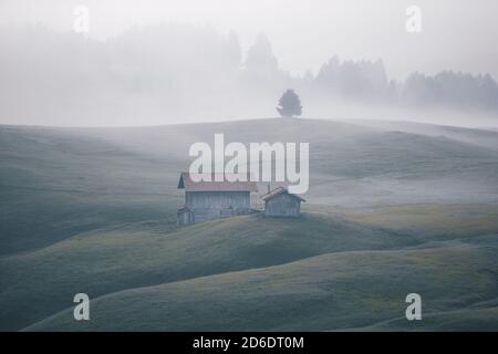 Sonnenaufgang über der Seiser Alm in den Dolomiten, Südtirol, Italien. Nebel verdunkelt die einzelnen Waldteile und Almhütten. Stockfoto