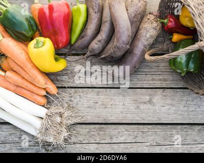 Frisch gepflücktes Bio-Gemüse aus eigenem Anbau auf einem Holzhintergrund Stockfoto