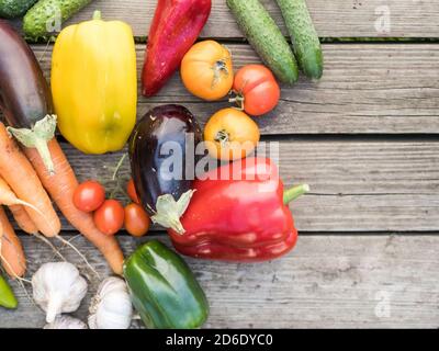 Frisch gepflücktes Bio-Gemüse aus eigenem Anbau auf einem Holzhintergrund Stockfoto