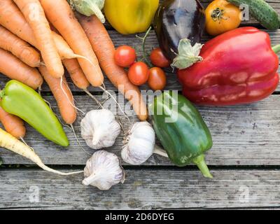 Frisch gepflücktes Bio-Gemüse aus eigenem Anbau auf einem Holzhintergrund Stockfoto