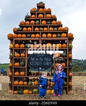 East Lothian, Schottland, Vereinigtes Königreich, 16. Oktober 2020. Pumpkin Patches Open: Zwei Patches auf der Kilduff Farm und dem Balgone Estate öffnen heute an den nächsten 3 Wochenenden mit buchbaren Slots, sozialer Distanzierung und Hygienemaßnahmen. Es gab Bedenken, dass neue Beschränkungen der schottischen Regierung die Öffnung der Patches verhindern würden und ob das letzte Wochenende nach der Überprüfung der derzeitigen Beschränkungen möglich sein wird. Im Bild: Kinder auf der Kilduff Farm Kürbispflaster Stockfoto