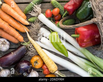 Frisch gepflücktes Bio-Gemüse aus eigenem Anbau auf einem Holzhintergrund Stockfoto