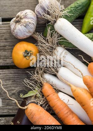 Frisch gepflücktes Bio-Gemüse aus eigenem Anbau auf einem Holzhintergrund Stockfoto