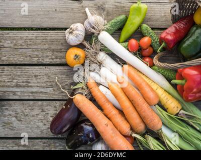 Frisch gepflücktes Bio-Gemüse aus eigenem Anbau auf einem Holzhintergrund Stockfoto