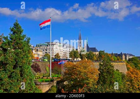 Blick auf die Stadt mit Kathedrale Notre Dame, Luxemburg-Stadt, Großherzogtum Luxemburg Stockfoto