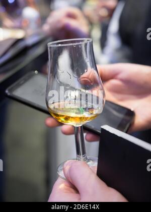 Hand hält ein Whisky Tasting Glas Stockfoto