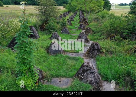 Höckerlinie, Panzerabwehr der ehemaligen Westwand bei Mettlach-Orscholz, Saargau, Saarland, Deutschland Stockfoto